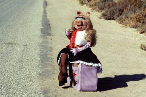 Miss Piggy Turned Me Gay