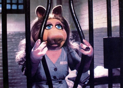 Miss Piggy in prison