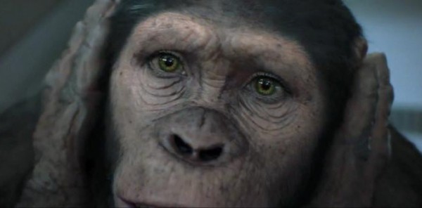 ‘Dawn of the Planet of the Apes:’ My Dear Forgotten Cornelia