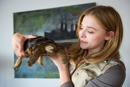 ‘Laggies’: Mentors, Tortoises, Dads, and Growing Up
