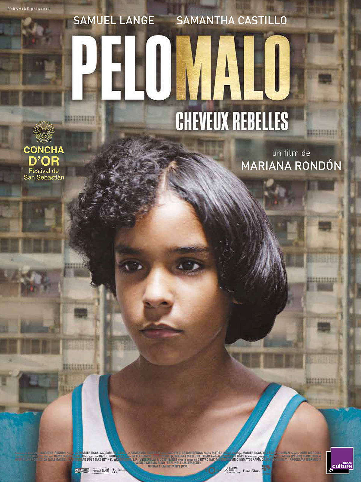 Pelo Malo movie poster.